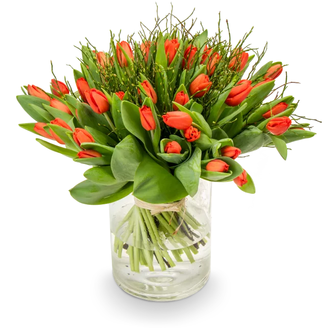 Kytice červených tulipánů